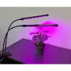 20 LED-i 2 tk taimede kasvuks Gardlov 19241
