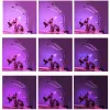 Lamp 20 LED 2pcs for plant growth Gardlov 19241
