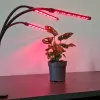20 LED-i 3 tk taimede kasvuks Gardlov 19242