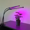 20 LED-i 3 tk taimede kasvuks Gardlov 19242