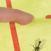 Insect repellent - 10m roll Repest 19052