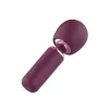 Чистящее средство для секс-игрушек Dream Toys Glam Фиолетовый