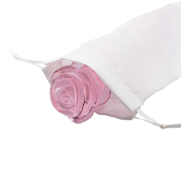 Analinis kištukas Dream Toys Glaze Rožinė 3 Dalys