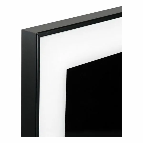 Glezna Zebra Stikls (2 x 50 x 50 cm)