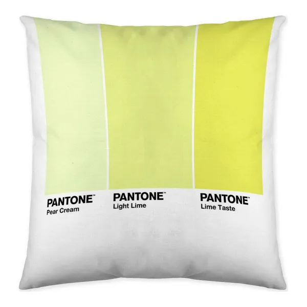 Pagalvėlės užvalkalas Ombre C Pantone Localization_B086JQZYZH Dvipusis 50 x 50 cm