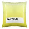Pagalvėlės užvalkalas Ombre C Pantone Localization_B086JQZYZH Dvipusis 50 x 50 cm