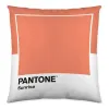 Spilvendrāna Wide C Pantone Localization-B086JPW2VB Abpusējs 50 x 50 cm