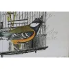 Canvas DKD Home Decor Wood Canvas 34 x 2 x 44 cm