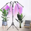 Lamp 20 LED 4pcs for plant growth Gardlov 19388