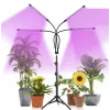 Lamp 20 LED 4pcs for plant growth Gardlov 19388