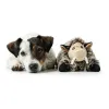 Soft toy for dogs Hunter Faro Brown Grey Polyester Pig
