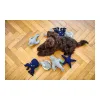 Soft toy for dogs Hunter Skagen Grey Polyester Fish