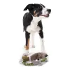 Mīkstā rotaļlieta suņiem Hunter Wildlife Train Ar auklu Pīle (26 cm)
