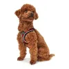 Koera rakmed Hunter Hilo-Comfort Punane S (42-48 cm)