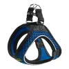 Koera rakmed Hunter Hilo-Comfort Sinine Suurus S (42-48 cm)
