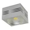 GUSTI LED 10W 4000K LED COB Laevalgusti