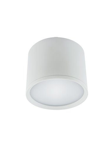 ROLEN LED 10W WHITE NW