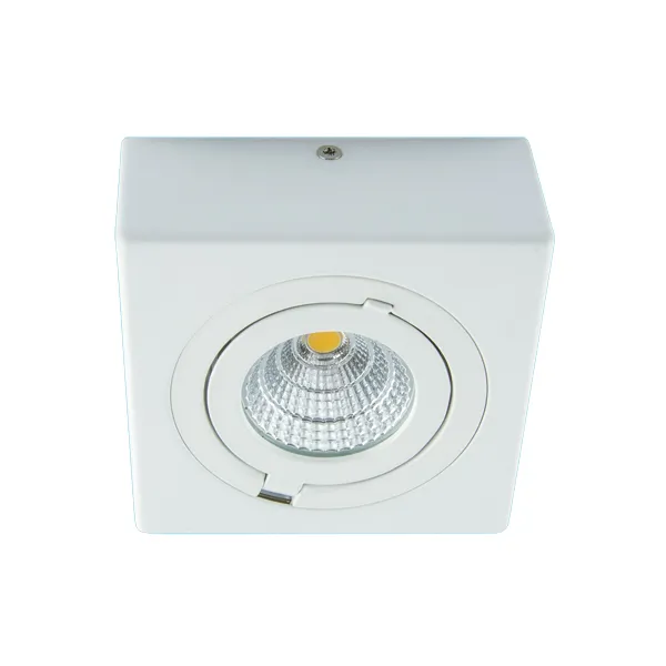 IGOR LED D 9W VALGE 4000K LED COB Laevalgusti