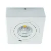 IGOR LED D 9W VALGE 4000K LED COB Laevalgusti