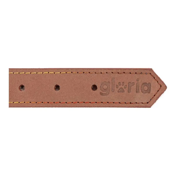 Šuns antkaklis Gloria Oasis Ruda (55 x 2,5 cm)