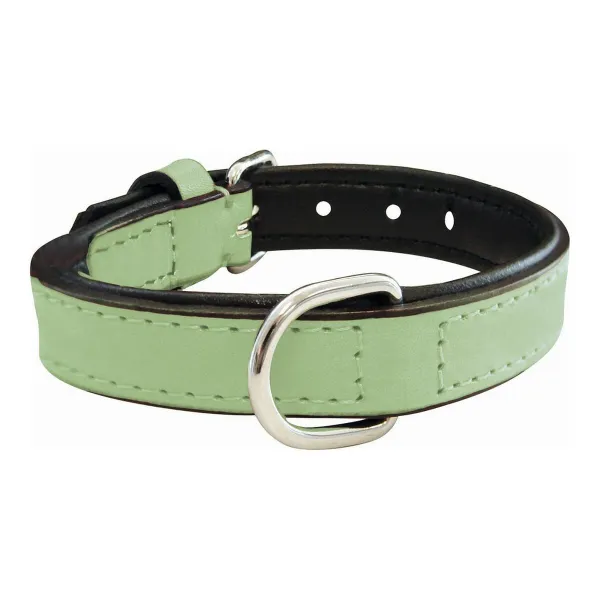 Koiran kaulapanta Gloria Vihreä (40 x 2 cm)