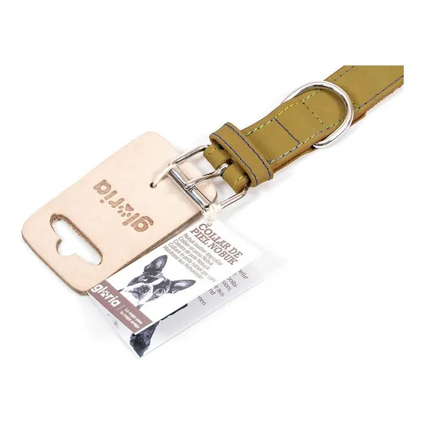 Koiran kaulapanta Gloria Oasis Vihreä (70 x 3 cm)