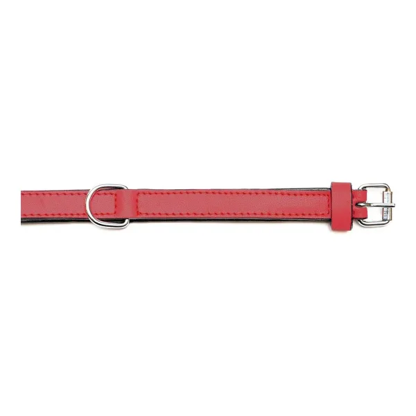 Suņa kaklasiksna Gloria Ar polsterējumu Sarkans 50 cm (50 x 2,5 cm)
