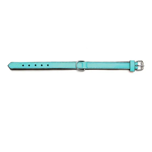 Suņa kaklasiksna Gloria Ar polsterējumu Turquoise 45 cm (45 x 2 cm)
