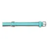 Suņa kaklasiksna Gloria Ar polsterējumu Turquoise 45 cm (45 x 2 cm)