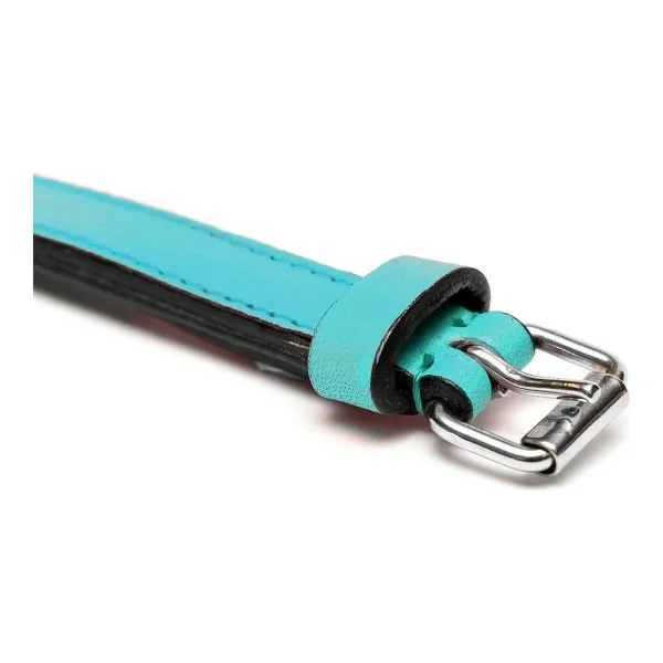 Suņa kaklasiksna Gloria Ar polsterējumu Turquoise 45 cm (45 x 2 cm)