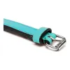 Suņa kaklasiksna Gloria Ar polsterējumu Turquoise 45 cm (45 x 2 cm)