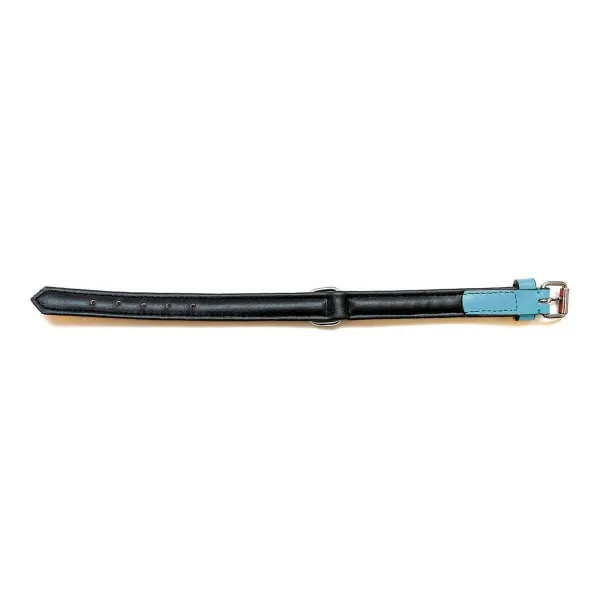 Suņa kaklasiksna Gloria Ar polsterējumu Turquoise 45 cm (45 x 2 cm)
