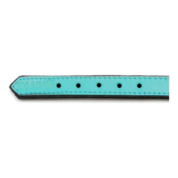 Suņa kaklasiksna Gloria Ar polsterējumu Turquoise 45 cm (45 x 2 cm)