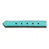 Suņa kaklasiksna Gloria Ar polsterējumu Turquoise 45 cm (45 x 2 cm)