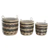 Grozs DKD Home Decor Melns Dabisks Dabīgā Šķiedra (3 Daudzums) (3 gb.)