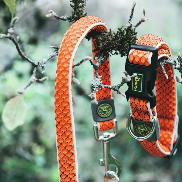 Koera kaelarihm Hunter Basic Niit Oranž Suurus M Orange (33-50 cm)