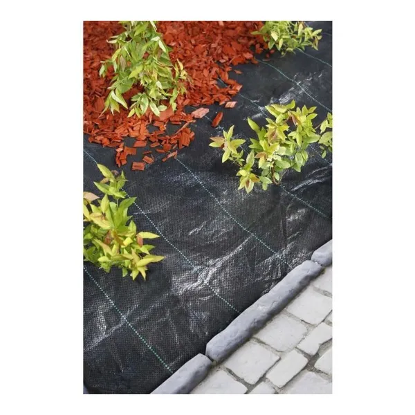 Piktžolių kontrolės tinklelis Nature Juoda 100 g/m² 3,30 x 5 m