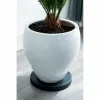 Gėlių puodo stovas su ratukais Nature Juoda polipropileno (Ø 29,2 x 4 cm)