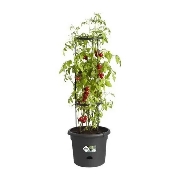 Taimepott Elho Basics Tomato Must (Ø 33 cm)