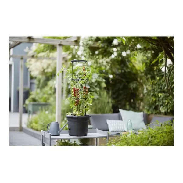Taimepott Elho Basics Tomato Must (Ø 33 cm)