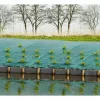 Сетка от сорняков Nature
