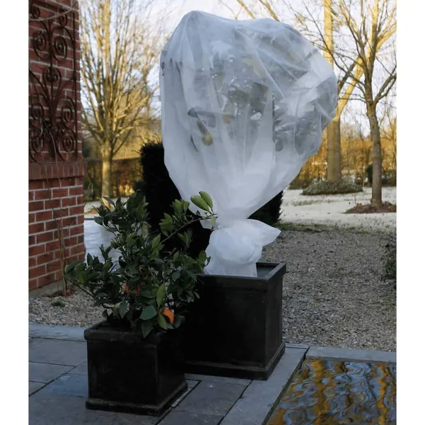 Aizsardzības audekls Nature 6030118 Balts polipropilēns Plastmasa 2 x 10 m