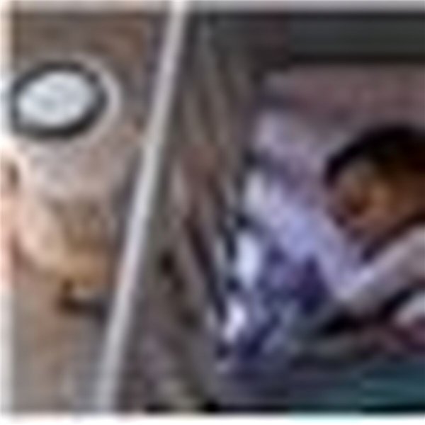 Ilmanpuhdistin Philips AC0920/10 Valkoinen