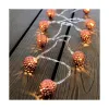 LED žibintų vainikas Decorative Lighting Varinis