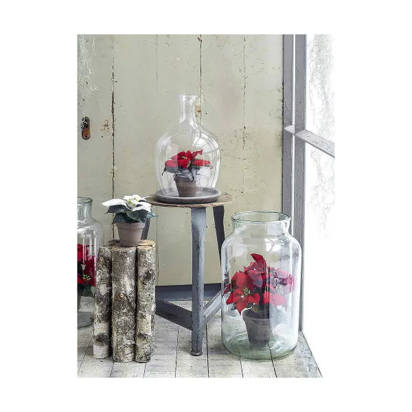 Koristekasvi Mica Decorations Punainen PVC