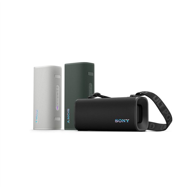 Portatīvie Bezvadu Skaļruņi Sony SRSULT30H.CE7 Pelēks