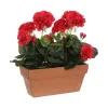Dekoratīvs Augs Mica Decorations Keramika Sarkans PVC (29 x 13 x 40 cm)