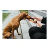 Pakendamine Hunter Dummy Snacks Must Oranž