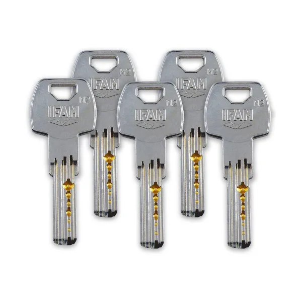 Apsauginė spyna IFAM CS88 Metalinis Plienas