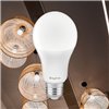 BRY-ADVANCE-13W-E27-A60-6500K-LED BULB